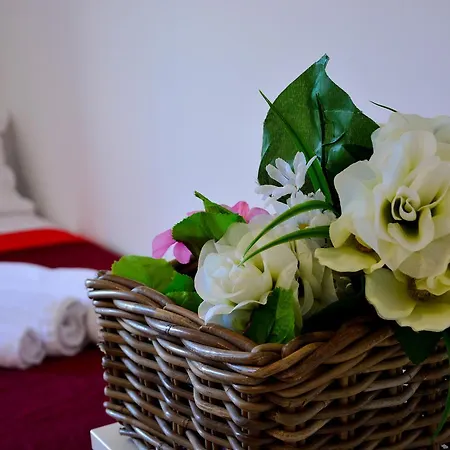 Bed & Breakfast Sui Tetti