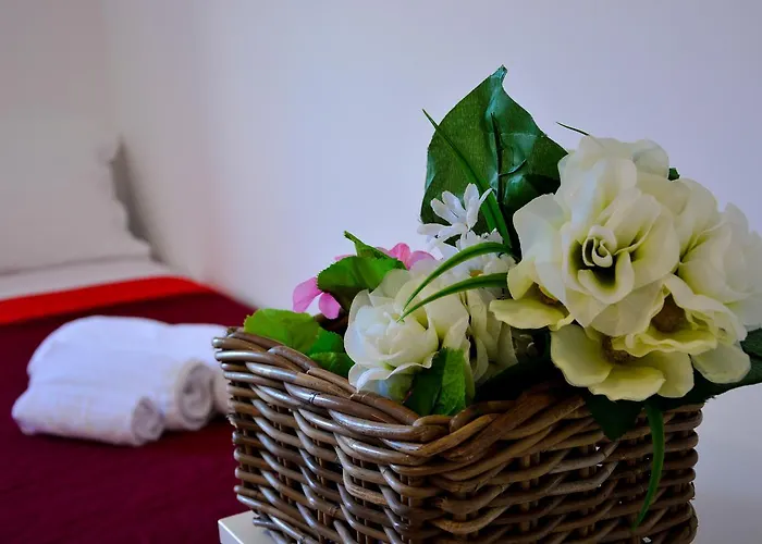 Bed & Breakfast Sui Tetti
